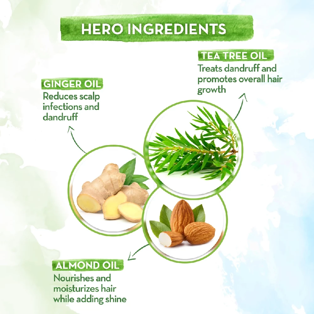 Tea Tree Conditioner with Tea Tree and Ginger Oil for Dandruff Free Hair, 250 ml-4.webp